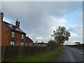 House and tree by A49 south of Prees Higher Heath