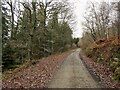 SO3373 : Forest road in Bucknell Wood by Richard Webb