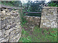 Stone Stile, Rodborough Common