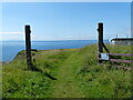 NT4699 : Fife Coastal Path at Kincraig Hill by Mat Fascione