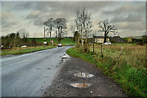 H4669 : Seskinore Road, Doogary by Kenneth  Allen