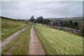 Bridleway approaching Wharton Hall