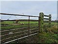 NZ1148 : Field gate on Knitsley Lane by Robert Graham