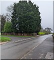 Evergreen corner of Llanvair Discoed