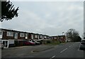 Houses in Mount Hermon Road