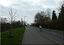 TQ0057 : Cyclist in Woking Park Road by Basher Eyre
