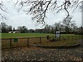 Fallen leaves in Woking Park