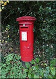 TQ0157 : Postbox in White Rose Lane by Basher Eyre