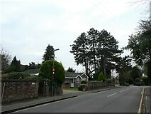 TQ0158 : Looking northwards in Heathfield Road by Basher Eyre