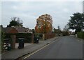 Bin day in Heathfield Road