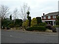 Splendid garden in Heathside Road 