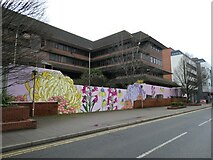 TQ0058 : Mural in Goldsworth Road by Basher Eyre