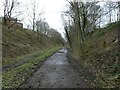 SJ9594 :  New Year's Day on the Trans Pennine Trail by Gerald England