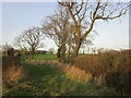 Field entrance, Osgodby