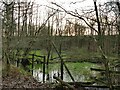 Pond near Chester Road