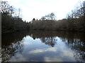 Pond near Frith Farm