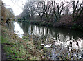 The Calder and Hebble Navigation, Brighouse