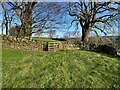 NY3140 : Footpath from Beckstones to Lowthwaite Green by Adrian Taylor