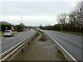 SK6237 : Pedestrian crossing on the A52 by Alan Murray-Rust