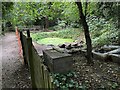 Pond before refurbishment, Dulwich Upper Wood Local Nature Reserve, Crystal Palace