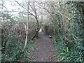 West Somerset Coast Path