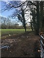 Muddy Bridleway