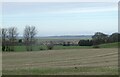 View across a field from Lower Road, Luddenham