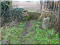 Stone Stile, Ampney Crucis