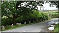SX5565 : Road side bollards Dartmoor Style by Sandy Gerrard