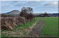 Footpath near the River Severn