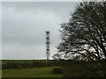 SJ5367 : Communications mast on Birch Hill, Willington Corner by David Smith