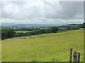 Pasture land on the lower slopes of Glog