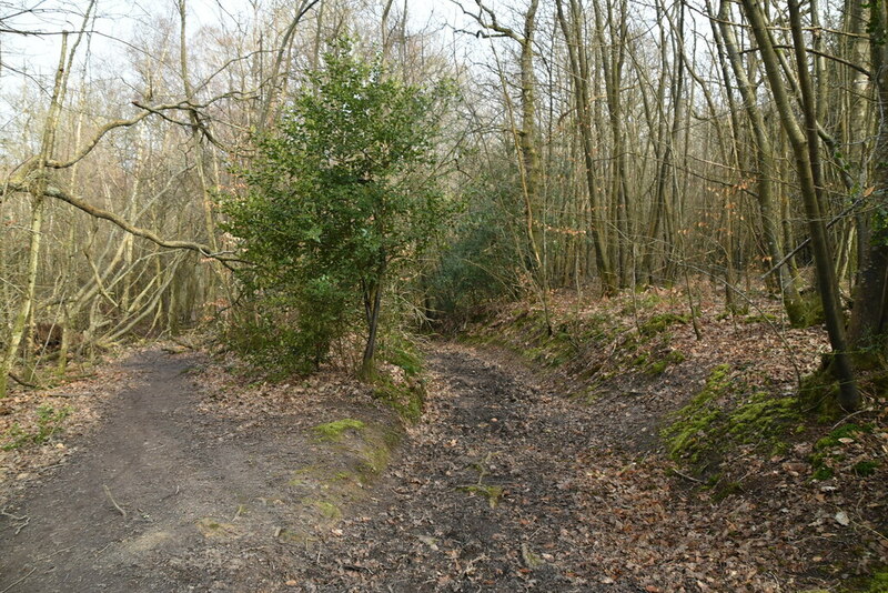 Footpath, Burgh Wood © N Chadwick cc-by-sa/2.0 :: Geograph Britain and ...