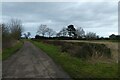 Farm track off Wistow Road