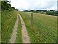 ST7167 : The Cotswold Way near Kelston Round Hill by Philip Halling