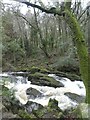 Rapids on the River Erme