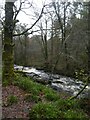 River Erme in Pithill Wood