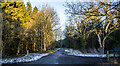 Deerness Valley Railway Path beyond Holburn Bridge