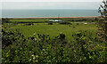 Farmland, West Bexington