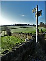 Path heading south from Warren Lane