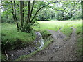 A little water in the stream near Kilmersdon Common