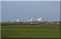 TL6692 : Whooper Swan family over Methwold Fens by Hugh Venables