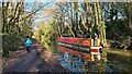 Barge Elizabeth Anne