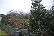 SS9612 : Tiverton : Anstey Crescent Garden by Lewis Clarke