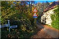 Lustleigh : Country Lane