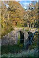 Lustleigh : Railway Bridge