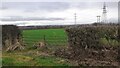 View through gateway on south side of New Road of field with electricity pylons