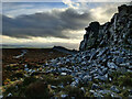 SO3698 : Manstone Rock on the Stiperstones by Mat Fascione