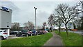 Footpath next to Elles Road