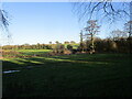 Grass fields by the Ramsley Brook